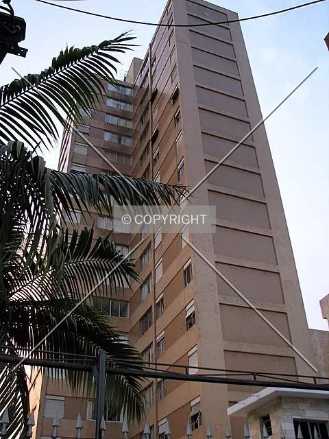 Photo 234-020-229