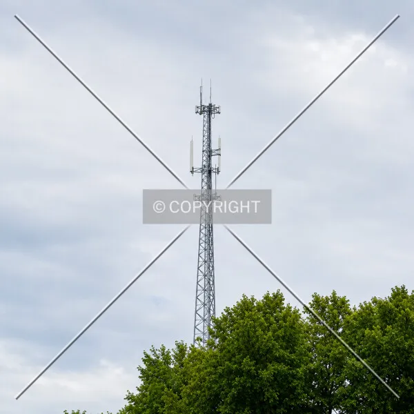 Photo 234-453-571
