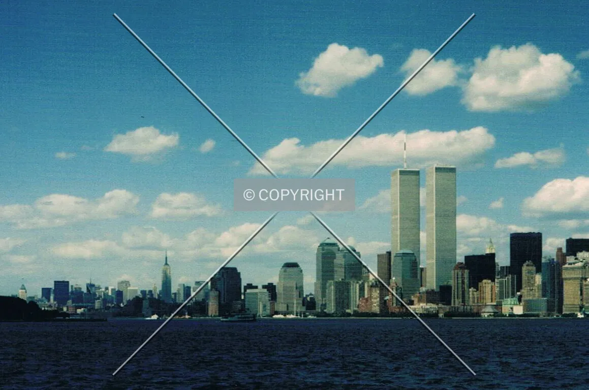 The lower Manhattan skyline from the south