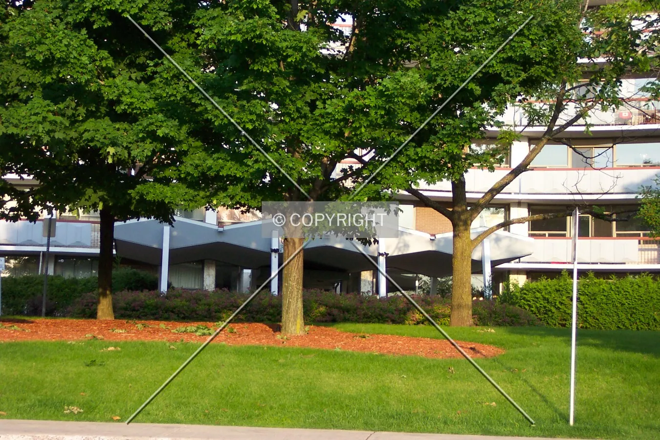 The front entrance as seen through the mature landscaped trees