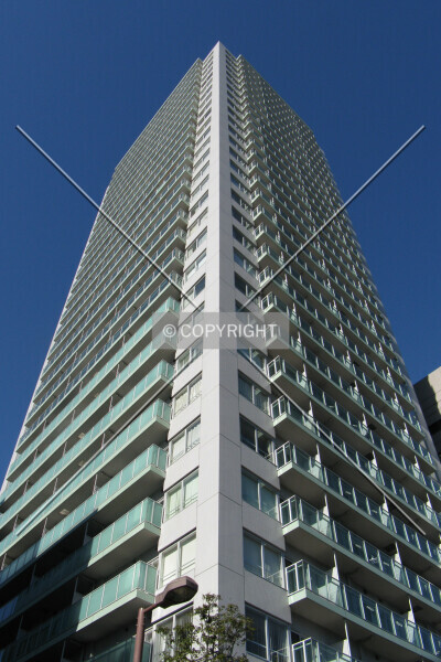 Photo 235-049-784