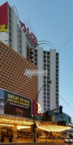 Photo 235-069-954