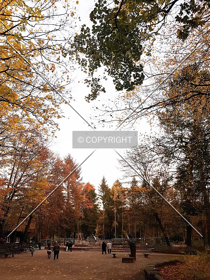 Photo 235-160-821