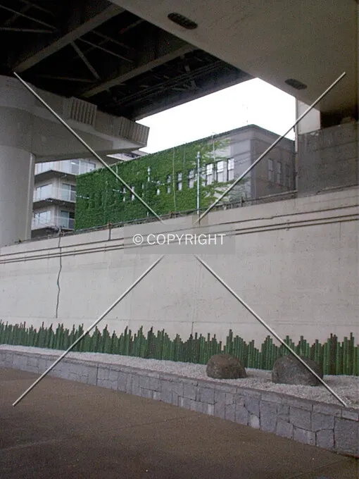 Photo 235-833-529