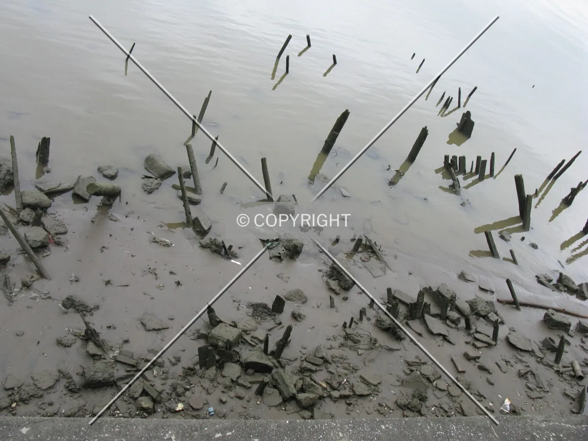 Photo 235-932-786