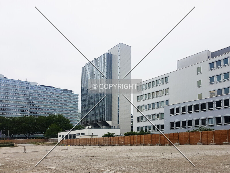 Photo 236-317-345