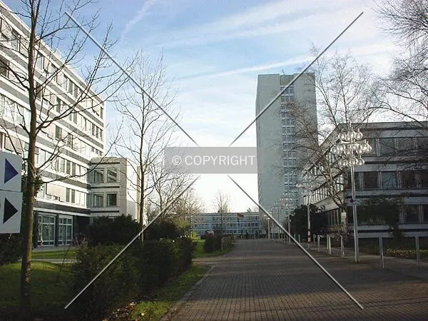 As seen from the project site entrance