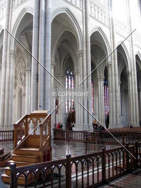 Photo 237-204-371