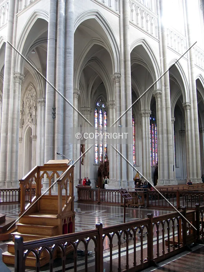 Photo 237-204-371