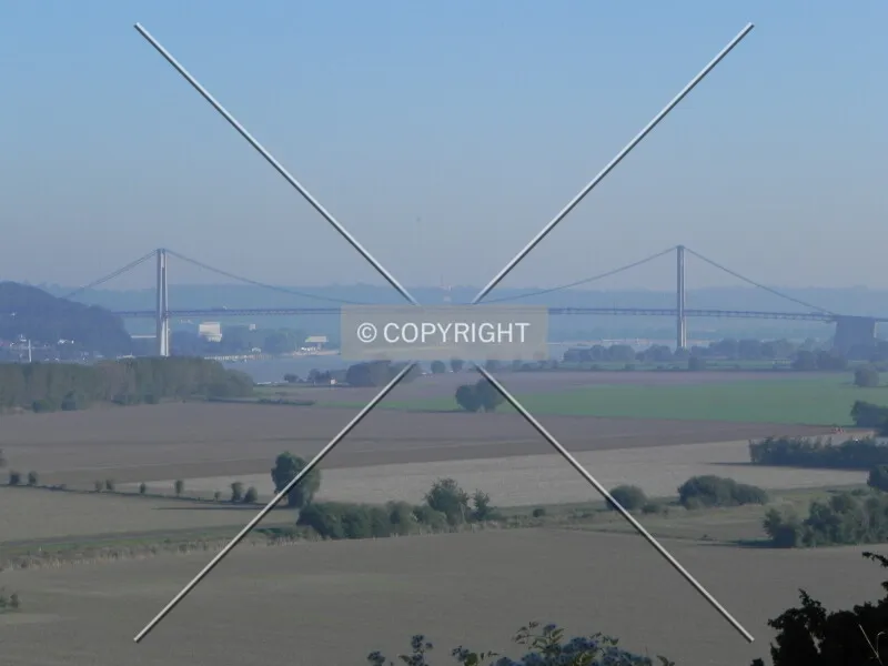 Photo 237-477-386