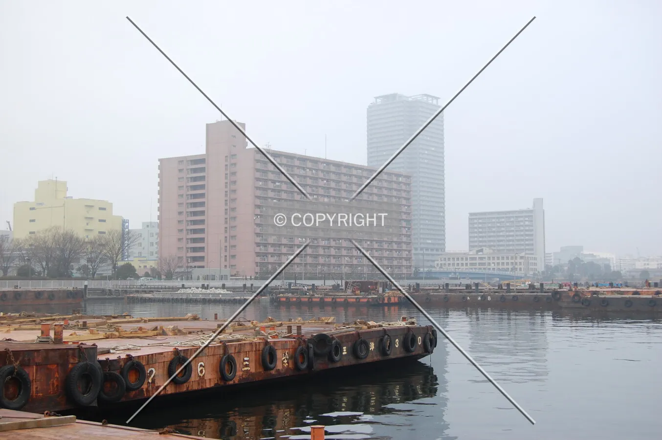 Photo 238-284-477