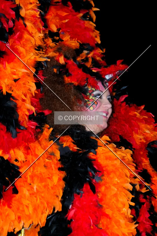 Red costume with red feathers