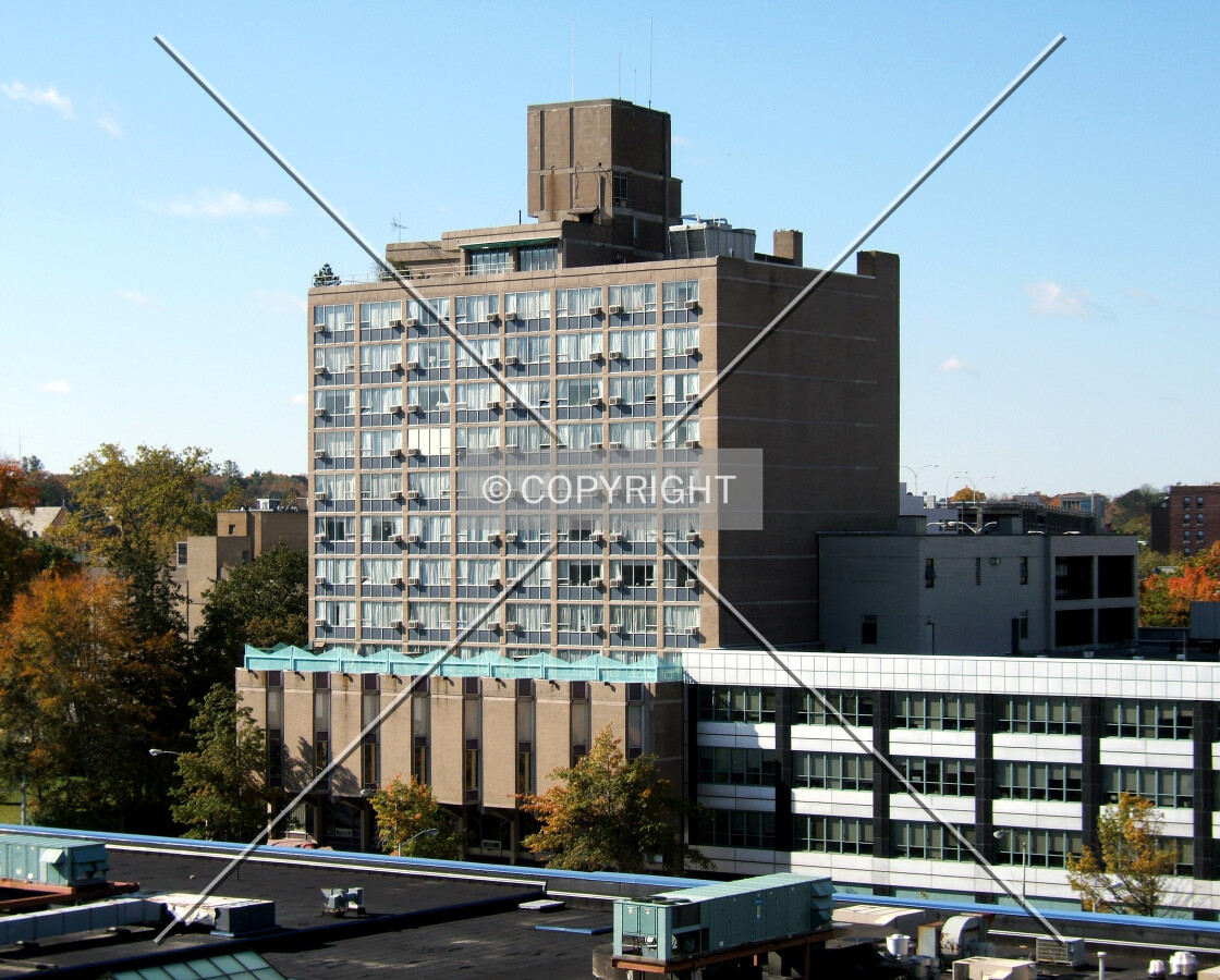 View from the northeast
