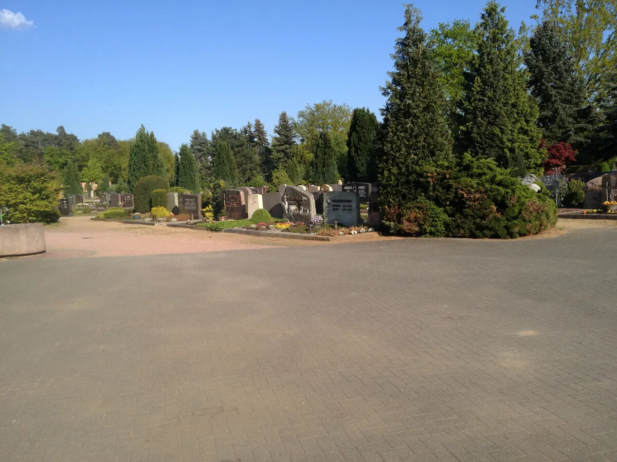 Photo 238-519-437