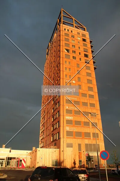 Photo 239-005-994