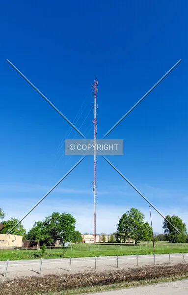 Photo 239-018-242