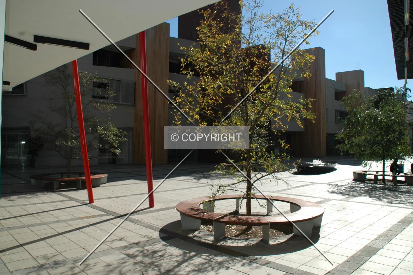 Landscaping within the complex