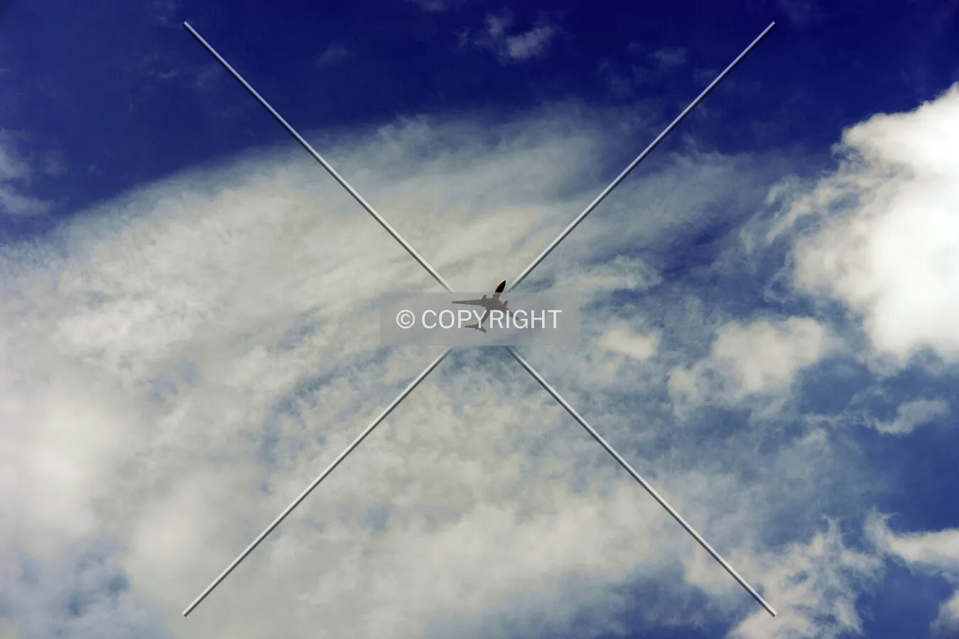 Photo 239-245-769