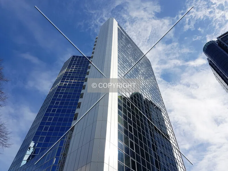 Photo 239-305-904