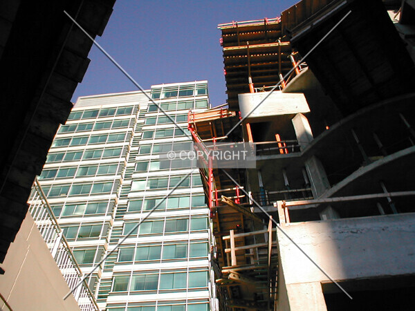 Photo 239-363-813