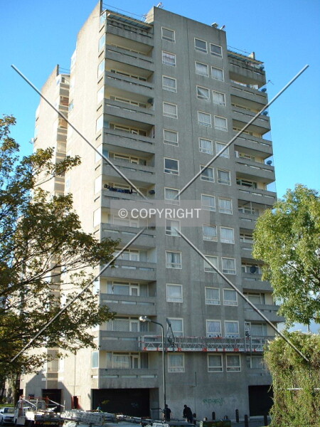 Photo 239-393-352