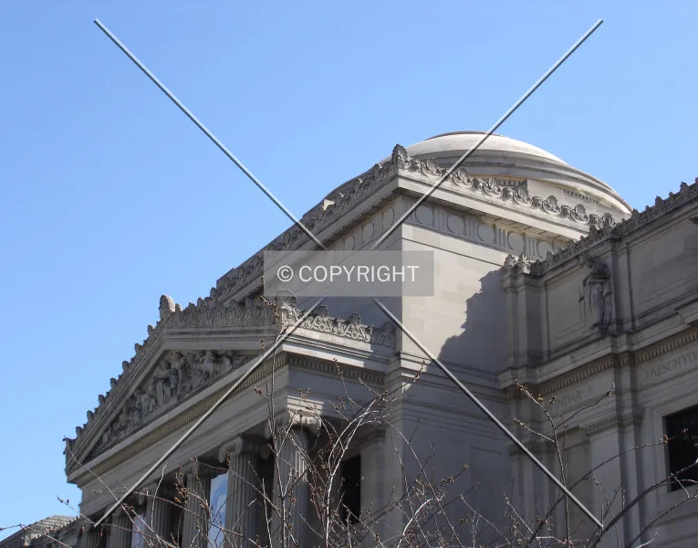 Photo 239-810-554