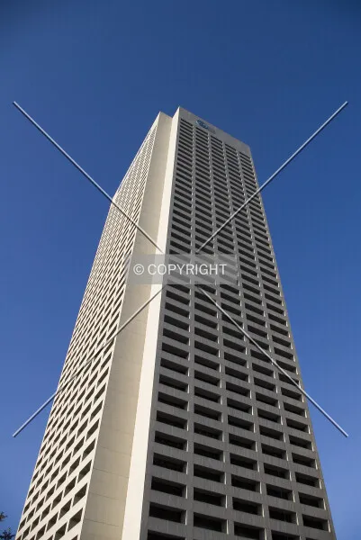 Photo 239-906-555