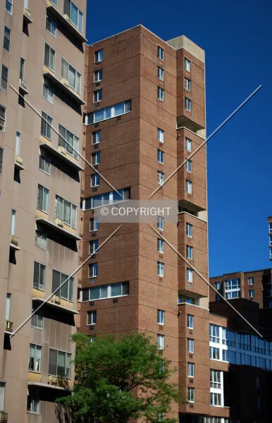 Photo 240-014-489