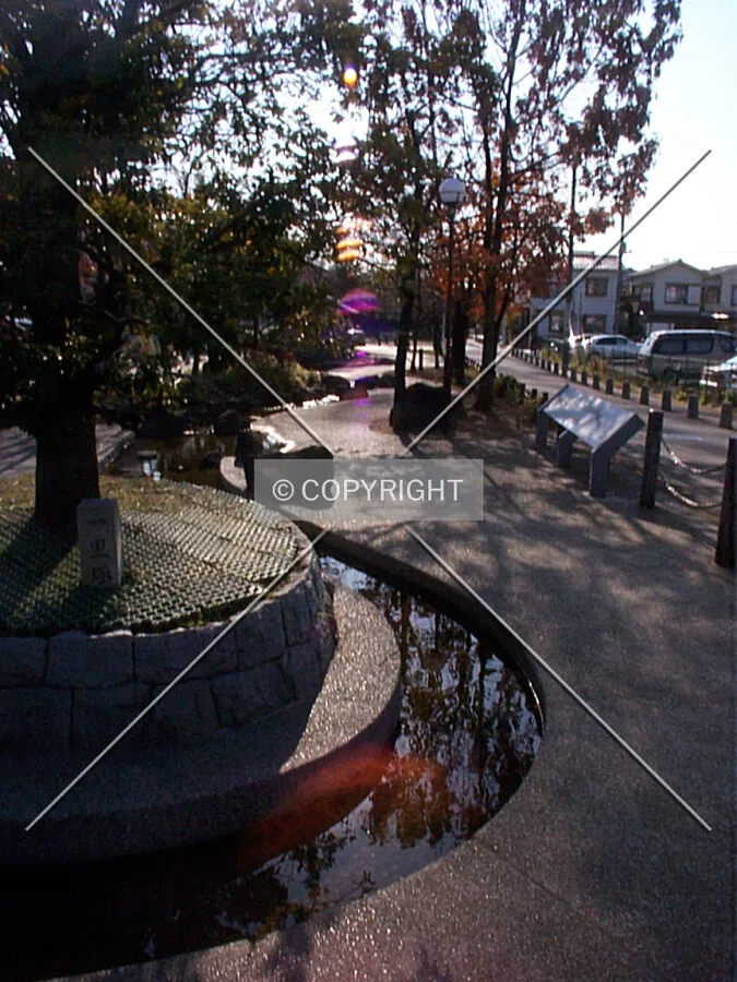Photo 240-146-403