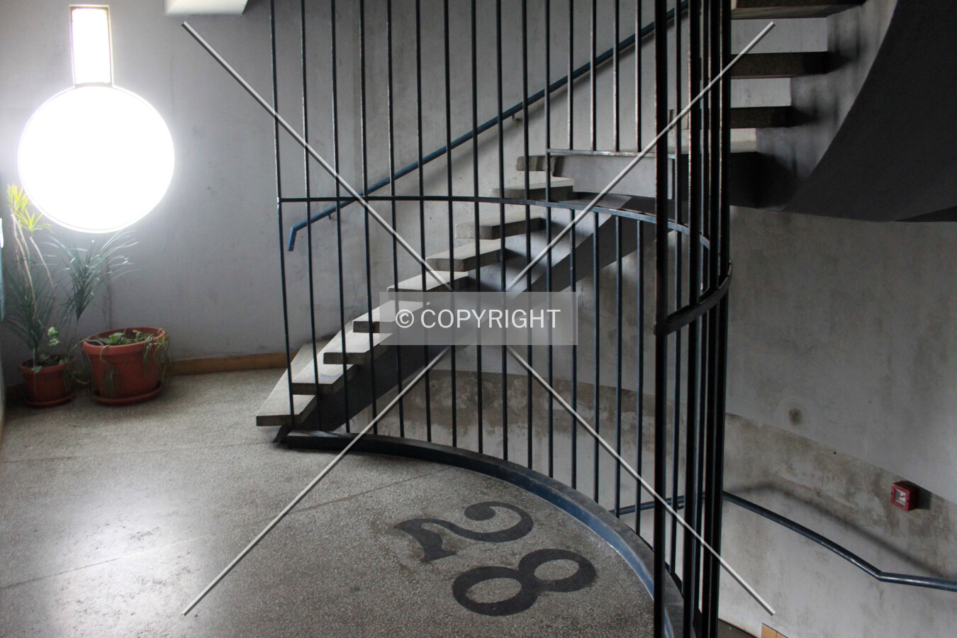 Photo 240-158-061