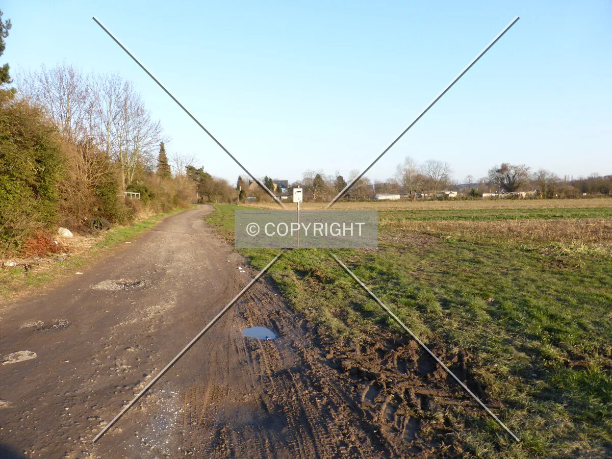 Photo 240-796-768