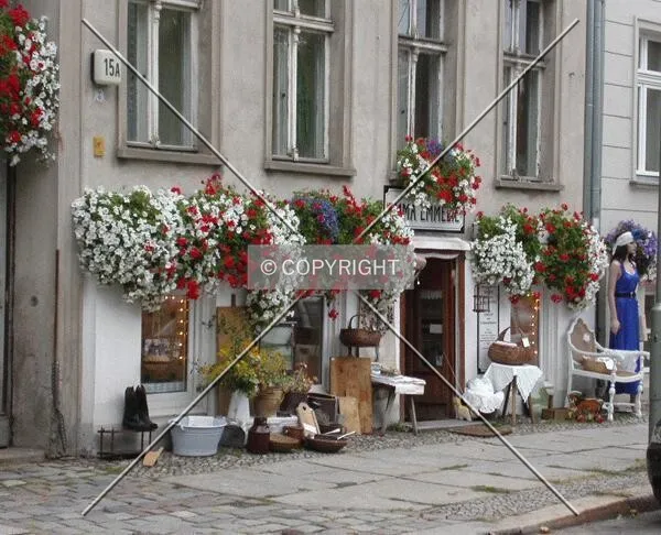 Second hand store in the old city