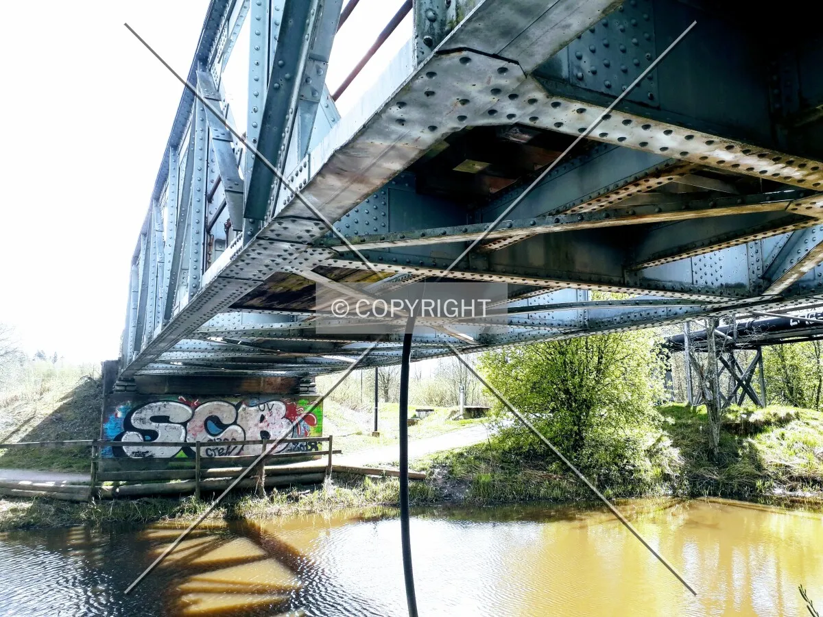 Photo 241-954-857