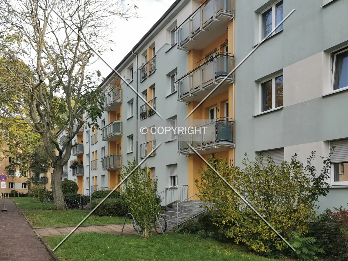 Photo 242-262-271