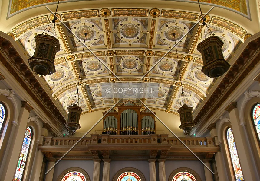 Photo 242-404-181