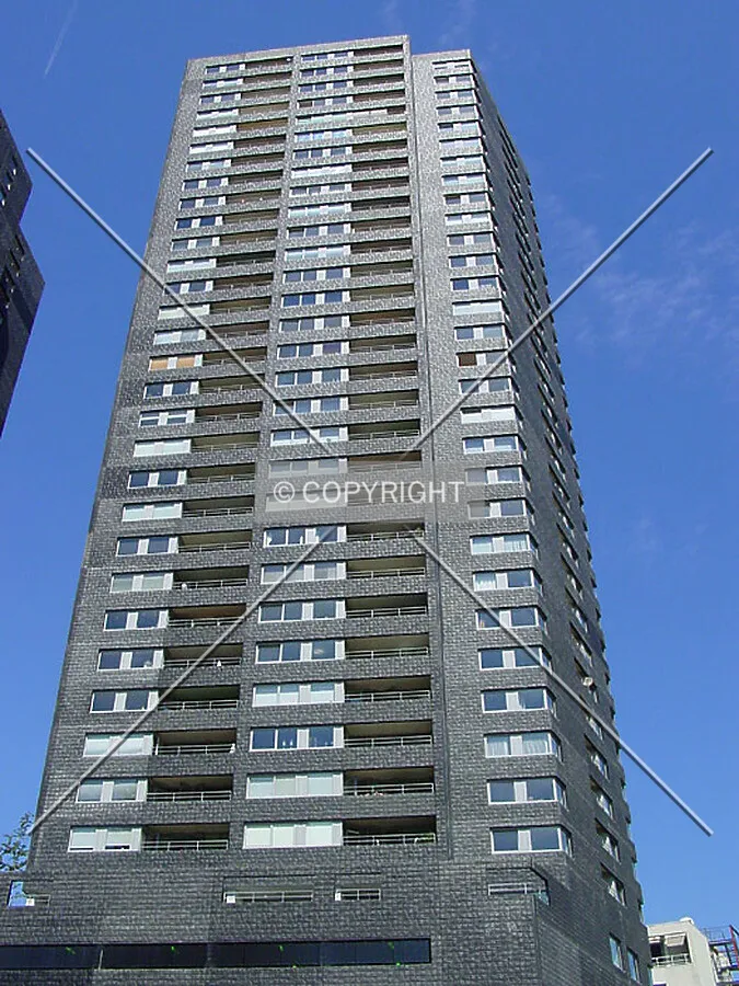 Looking up from Willemsplein