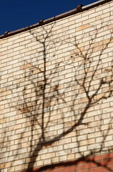 Photo 242-684-061