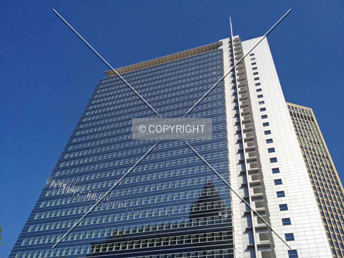 Photo 242-789-082