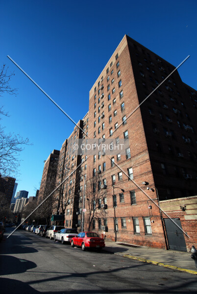 Photo 242-836-353