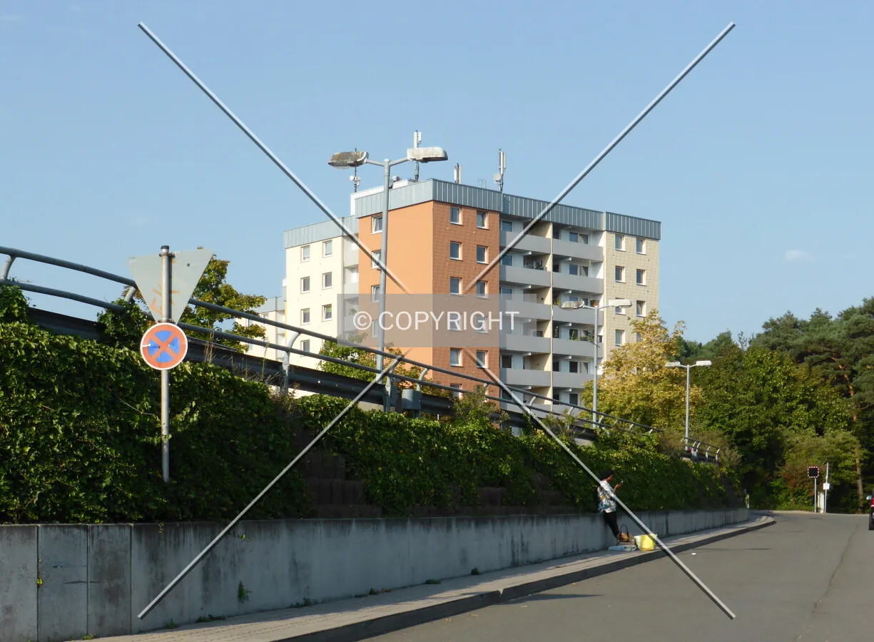 Photo 243-000-338