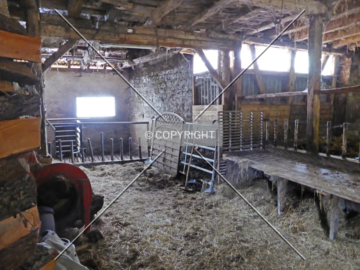 Photo 243-124-215