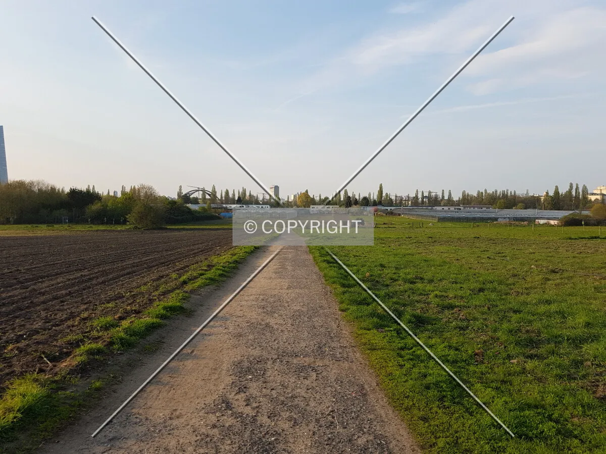 Photo 243-228-981