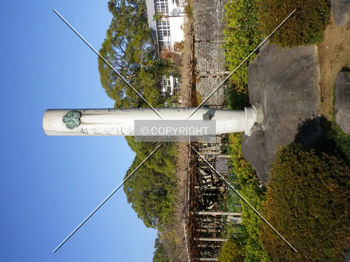 Photo 243-248-096