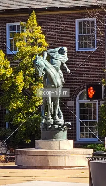 Photo 024-337-328