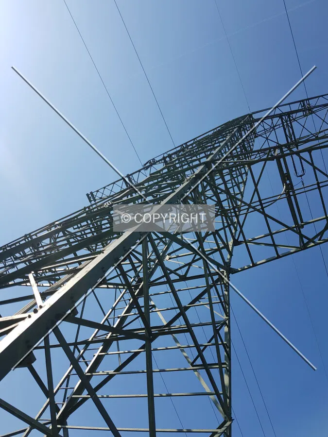 Photo 243-503-094