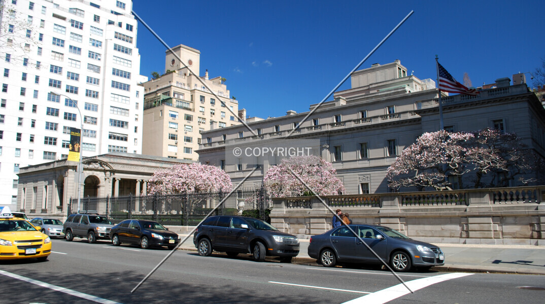 Photo 243-645-017