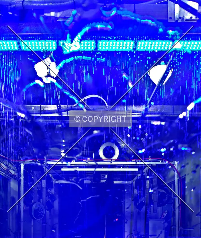 Interior during a car wash; February 21, 2019
