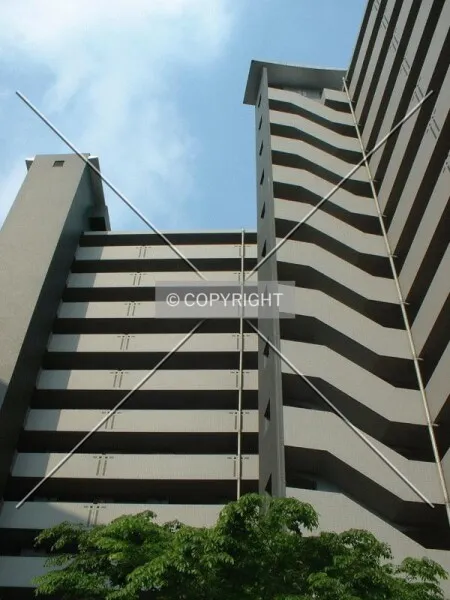 Photo 244-131-278