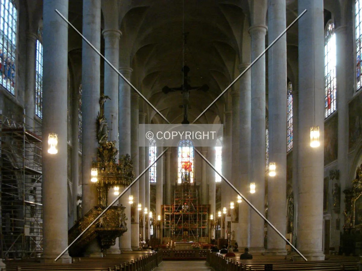 Photo 244-193-780