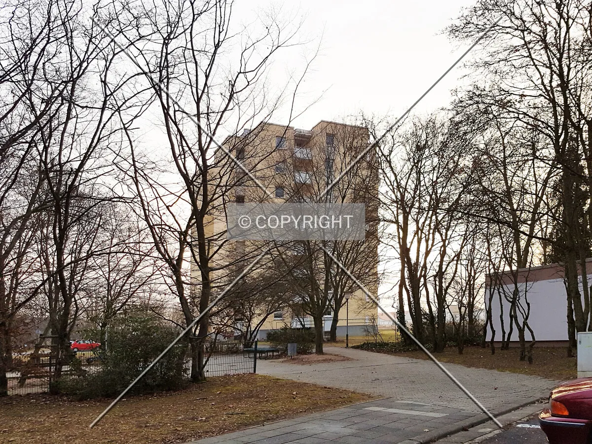 Photo 244-223-879